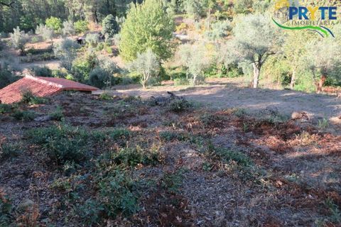 Farm i Castelo Branco, Castelo Branco, Castelo Branco - € 30.000 | Ref: VF324 - foto 7