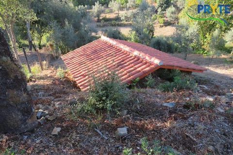 Farm i Castelo Branco, Castelo Branco, Castelo Branco - € 30.000 | Ref: VF324 - foto 8