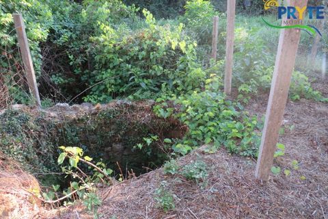 Farm i Castelo Branco, Castelo Branco, Castelo Branco - € 30.000 | Ref: VF324 - foto 14