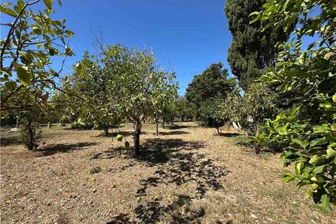 Helårsgrund i Avola, Siracusa, Avola - € 160.000 | Ref: 177T - foto 7