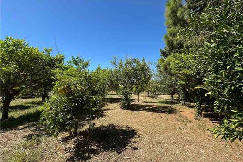 Helårsgrund i Avola, Siracusa, Avola - € 160.000 | Ref: 177T - foto 10