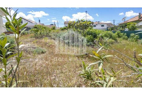 Helårsgrund i Quinta do Conde, Setubal, Quinta do Conde - € 32.000 | Ref: 8432 - foto 3