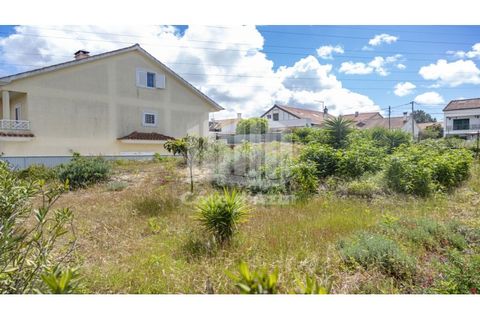 Helårsgrund i Quinta do Conde, Setubal, Quinta do Conde - € 32.000 | Ref: 8432 - foto 11