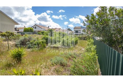 Helårsgrund i Quinta do Conde, Setubal, Quinta do Conde - € 32.000 | Ref: 8432 - foto 12