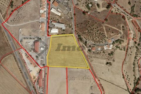Terra a Castro Verde, Beja, Castro Verde - € 580.000 | Ref: SÒL_98 - foto 2