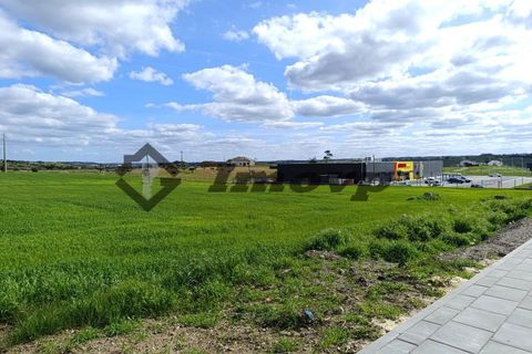 Terra a Castro Verde, Beja, Castro Verde - € 580.000 | Ref: SÒL_98 - foto 3