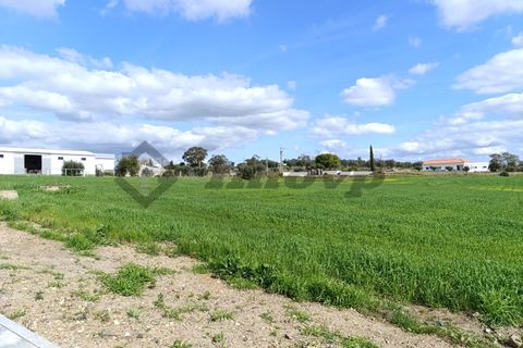 Terra a Castro Verde, Beja, Castro Verde - € 580.000 | Ref: SÒL_98 - foto 4