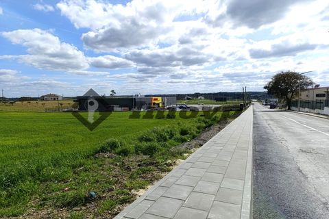 Terra a Castro Verde, Beja, Castro Verde - € 580.000 | Ref: SÒL_98 - foto 5