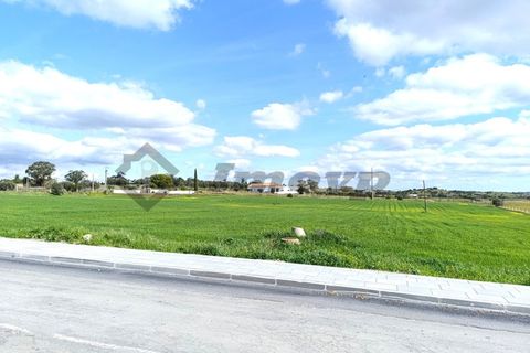 Terra a Castro Verde, Beja, Castro Verde - € 580.000 | Ref: SÒL_98 - foto 6