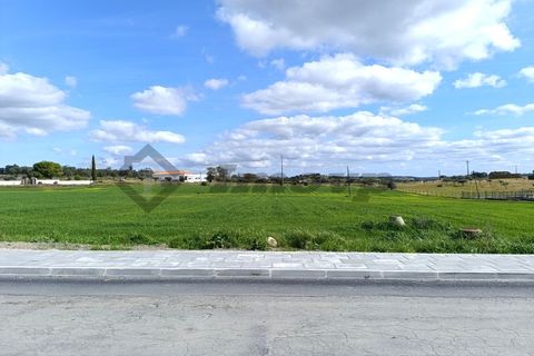 Terra a Castro Verde, Beja, Castro Verde - € 580.000 | Ref: SÒL_98 - foto 7