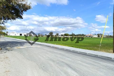 Terra a Castro Verde, Beja, Castro Verde - € 580.000 | Ref: SÒL_98 - foto 10