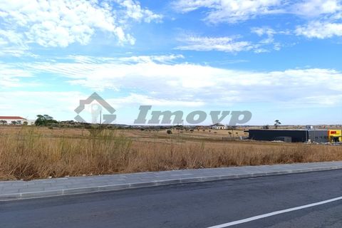 Terra a Castro Verde, Beja, Castro Verde - € 580.000 | Ref: SÒL_98 - foto 13
