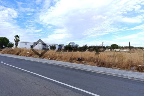 Terra a Castro Verde, Beja, Castro Verde - € 580.000 | Ref: SÒL_98 - foto 14