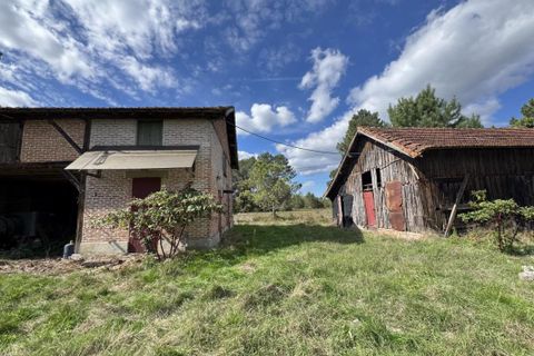 Villa i Escource, Landes, Escource - € 350.000 | Ref: 86340095 - foto 5