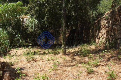 Byhus i Baiao, Porto, Baiao - € 360.000 | Ref: 1109001 - foto 21
