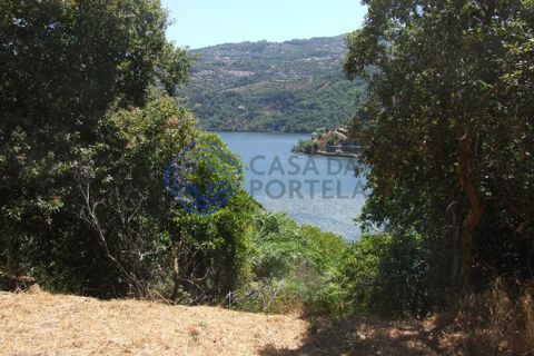 Byhus i Baiao, Porto, Baiao - € 360.000 | Ref: 1109001 - foto 23