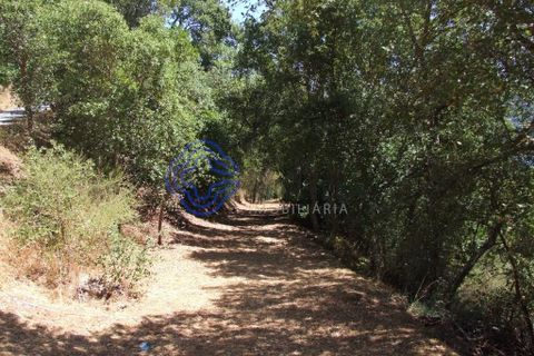Byhus i Baiao, Porto, Baiao - € 360.000 | Ref: 1109001 - foto 24