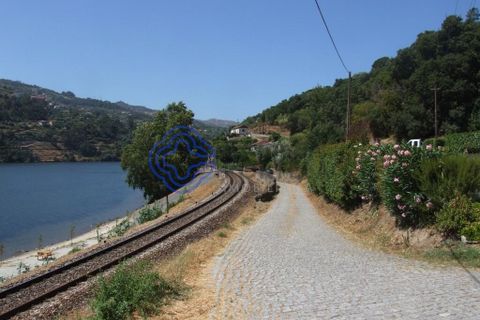 Byhus i Baiao, Porto, Baiao - € 360.000 | Ref: 1109001 - foto 29