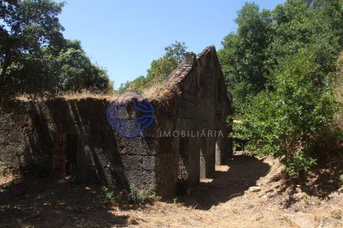 Byhus i Baiao, Porto, Baiao - € 360.000 | Ref: 1109001 - foto 6
