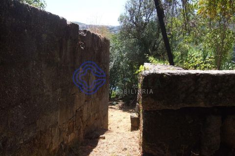 Byhus i Baiao, Porto, Baiao - € 360.000 | Ref: 1109001 - foto 7