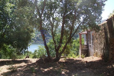 Byhus i Baiao, Porto, Baiao - € 360.000 | Ref: 1109001 - foto 19