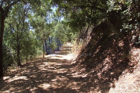 Byhus i Baiao, Porto, Baiao - € 360.000 | Ref: 1109001 - foto 25