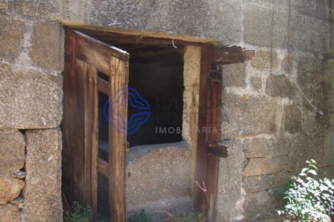 Byhus i Baiao, Porto, Baiao - € 360.000 | Ref: 1109001 - foto 36