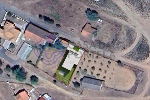 Helårsgrund i Vimioso, Braganca, Vimioso - € 32.500 | Ref: 1111701 - foto 4