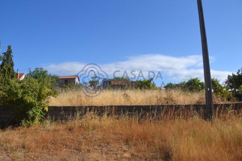 Helårsgrund i Vimioso, Braganca, Vimioso - € 32.500 | Ref: 1111701 - foto 11
