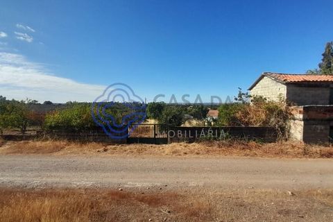 Helårsgrund i Vimioso, Braganca, Vimioso - € 32.500 | Ref: 1111701 - foto 13