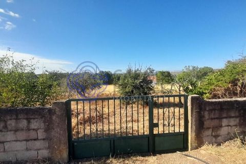 Helårsgrund i Vimioso, Braganca, Vimioso - € 32.500 | Ref: 1111701 - foto 18