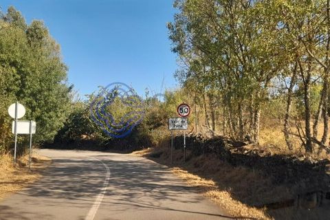 Helårsgrund i Vimioso, Braganca, Vimioso - € 32.500 | Ref: 1111701 - foto 19