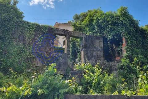 Rækkehus i Sever do Vouga, Aveiro, Sever do Vouga - € 42.500 | Ref: 1104291 - foto 8