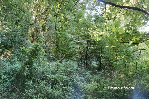 Terra a Rebais, Seine-et-Marne, Rebais - € 85.000 | Ref: 3011432817 - foto 2