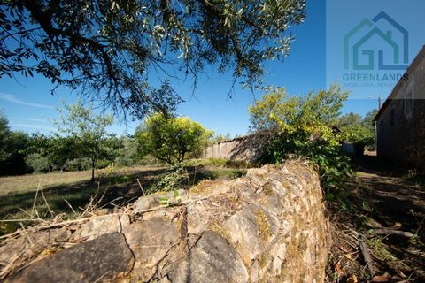 Landejendom i Gois, Coimbra, Gois - € 41.000 | Ref: 685 - foto 10