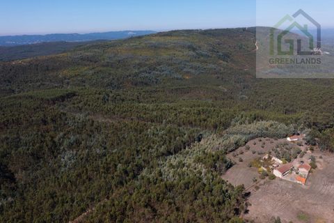 Landejendom i Gois, Coimbra, Gois - € 41.000 | Ref: 685 - foto 14