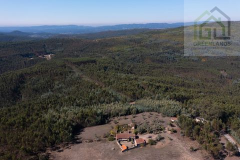 Landejendom i Gois, Coimbra, Gois - € 41.000 | Ref: 685 - foto 15