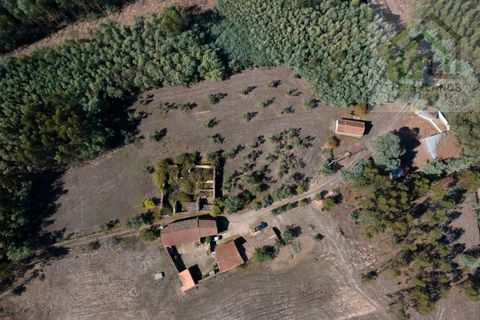 Landejendom i Gois, Coimbra, Gois - € 41.000 | Ref: 685 - foto 16