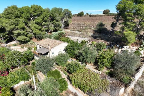 Villa a Modica, Ragusa, Modica - € 120.000 | Ref: EN 08 - foto 46