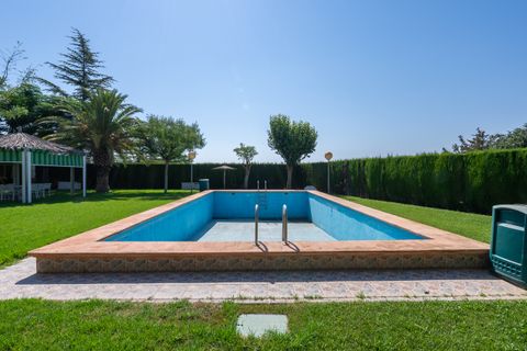 Landejendom i Yecla, Murcia, Yecla - € 210.000 | Ref: CF3221 - foto 5