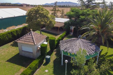 Landejendom i Yecla, Murcia, Yecla - € 210.000 | Ref: CF3221 - foto 34