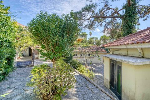 Villa a Cascais, Lisbon, Cascais - € 2.800.000 | Ref: CB01-0719 - foto 9