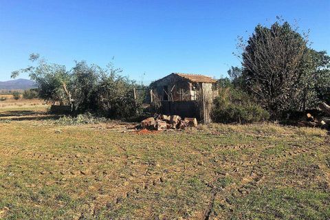Farm hus i Roccastrada, Grosseto, Roccastrada - € 720.000 | Ref: a7631ta2018145a - foto 8