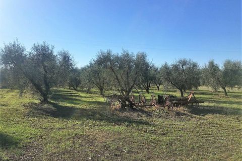 Farm hus i Roccastrada, Grosseto, Roccastrada - € 720.000 | Ref: a7631ta2018145a - foto 10