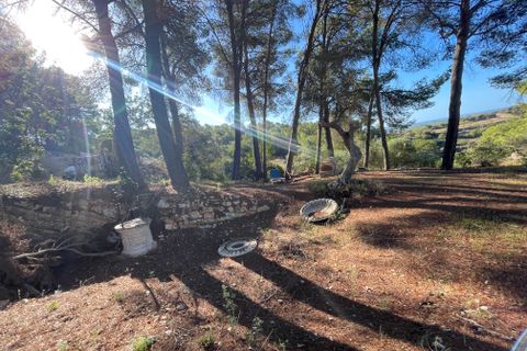 Landejendom i Calvia, Mallorca, Calvia - € 775.000 | Ref: 82563 - foto 2