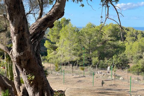 Landejendom i Calvia, Mallorca, Calvia - € 775.000 | Ref: 82563 - foto 3