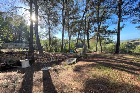 Landejendom i Calvia, Mallorca, Calvia - € 775.000 | Ref: 82563 - foto 4