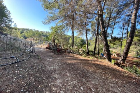 Landejendom i Calvia, Mallorca, Calvia - € 775.000 | Ref: 82563 - foto 5