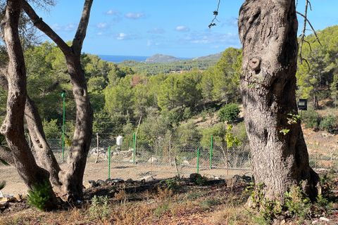 Landejendom i Calvia, Mallorca, Calvia - € 775.000 | Ref: 82563 - foto 6
