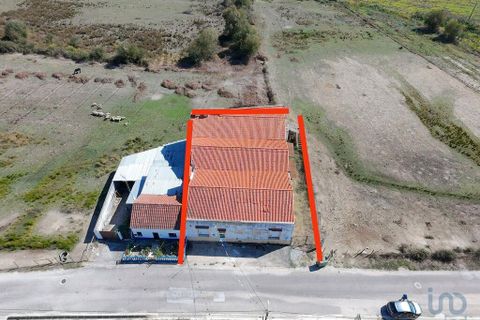 Erhvervsejendom i Gaviao, Portalegre, Gaviao - € 105.000 | Ref: 150378 - foto 3